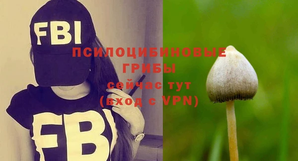 mix Абаза