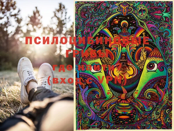 спайс Алексин