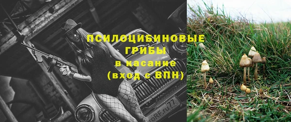спайс Алексин
